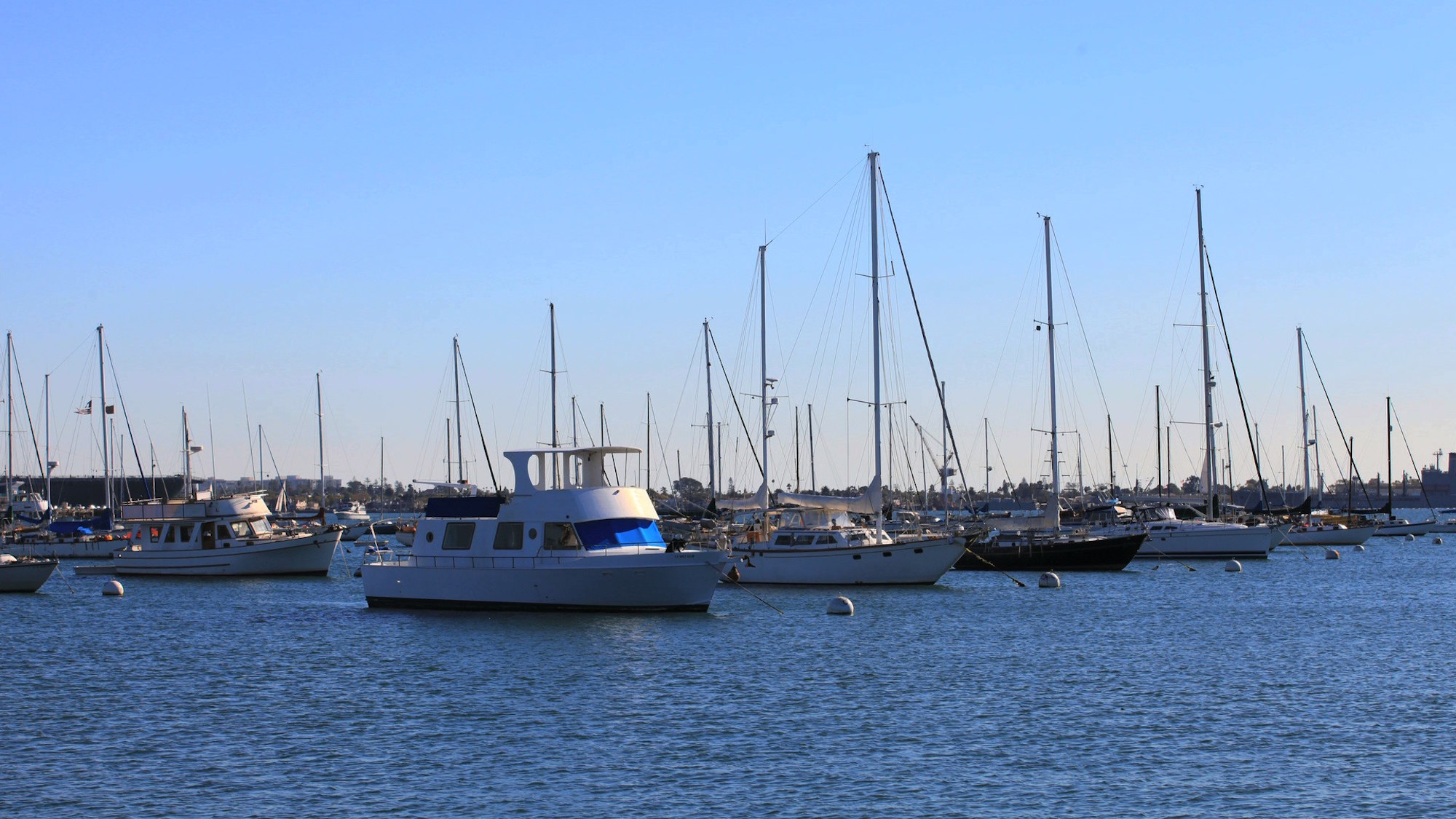 Dock for boat insurance